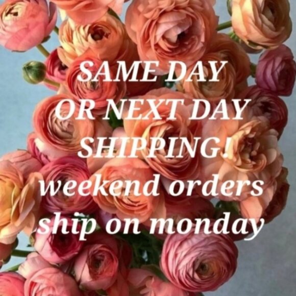 Meet your Posher, MV. - Picture 3 of 3